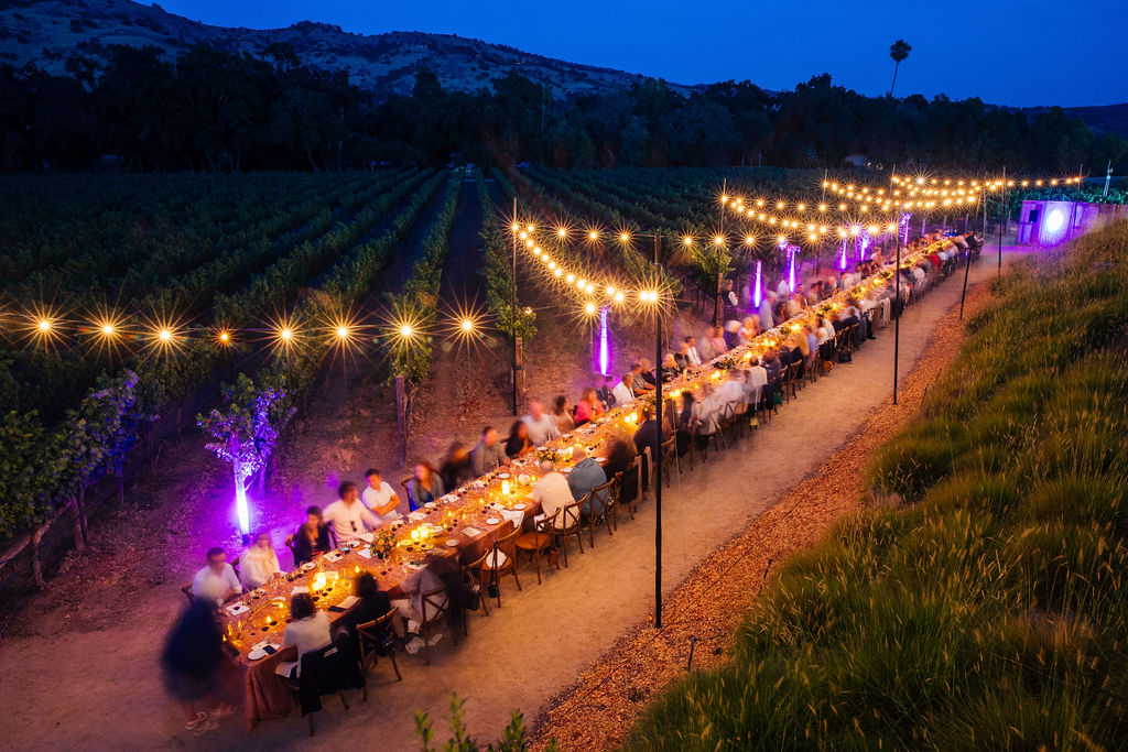 StagsLeapWineCellarsbyAlexanderRubin_0169